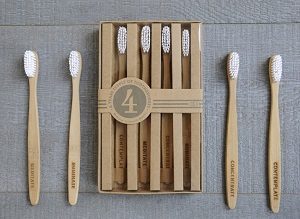 Bamboo-Toothbrushes-Pakistan-Business-Opportunity-300x219